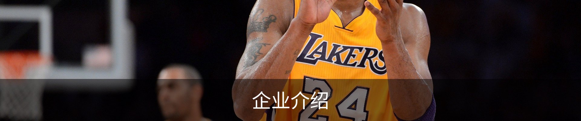 企业介绍